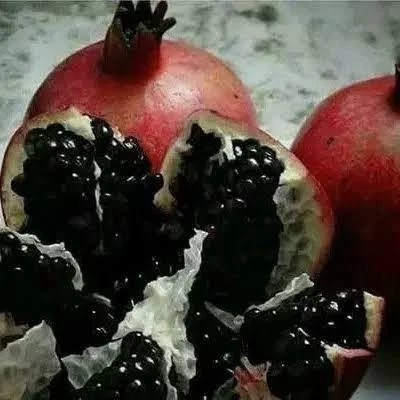 نهال انار دانه سیاه