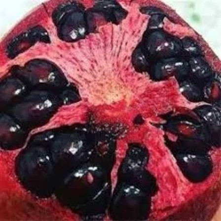 نهال انار دانه سیاه