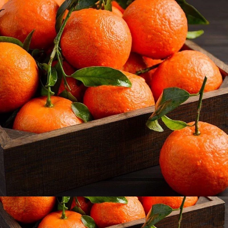 نهال نارنگی کلمانتین