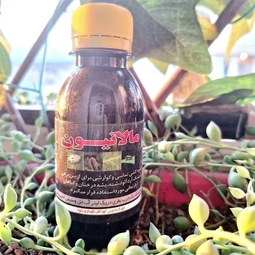 سم مالاتیون 100 سی سی. خالص درجه یک