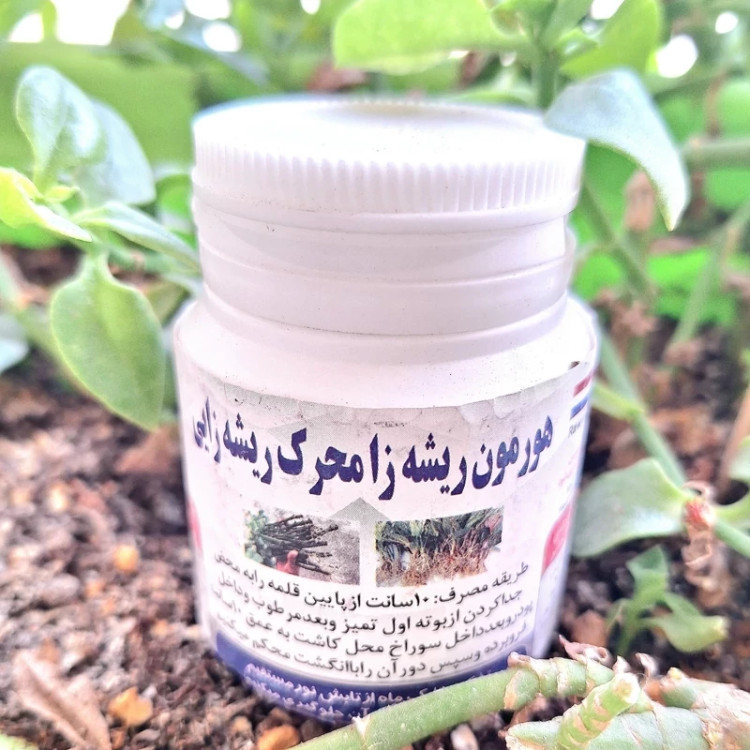 هورمون ریشه زایی .برای قلمه زدن انواع گیاهان