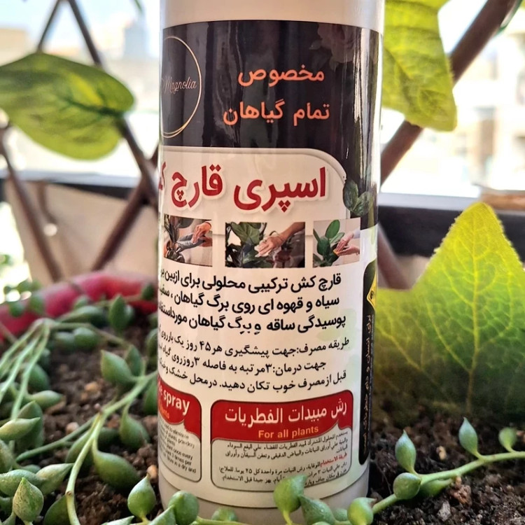 اسپری قارچکش قارچ کش و آفت کش ترکیبی