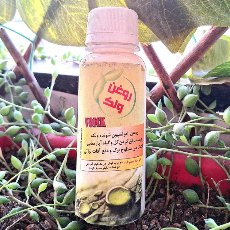 روغن ولک . پاکسازی و براق کردن برگها
