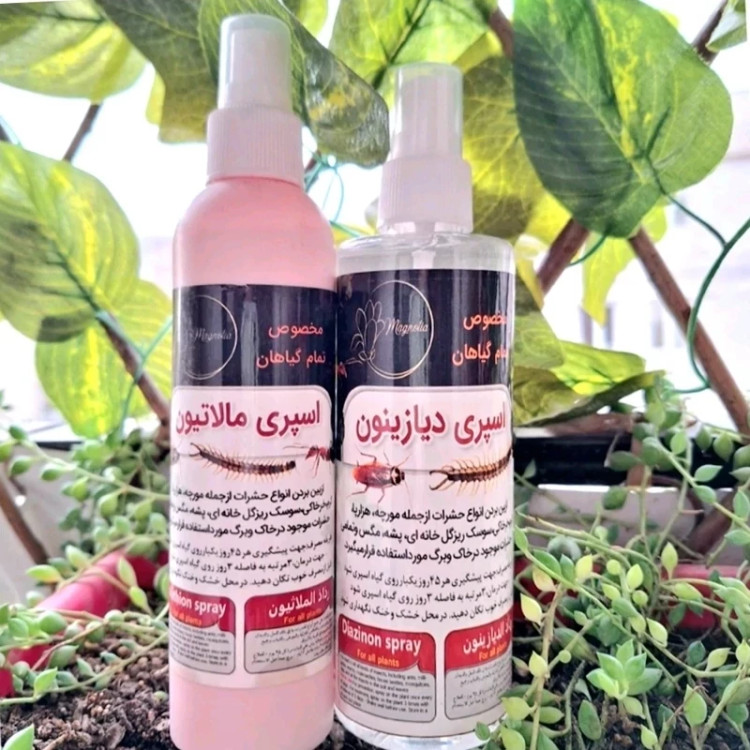 اسپری آماده سم دیازینون یا مالاتیون