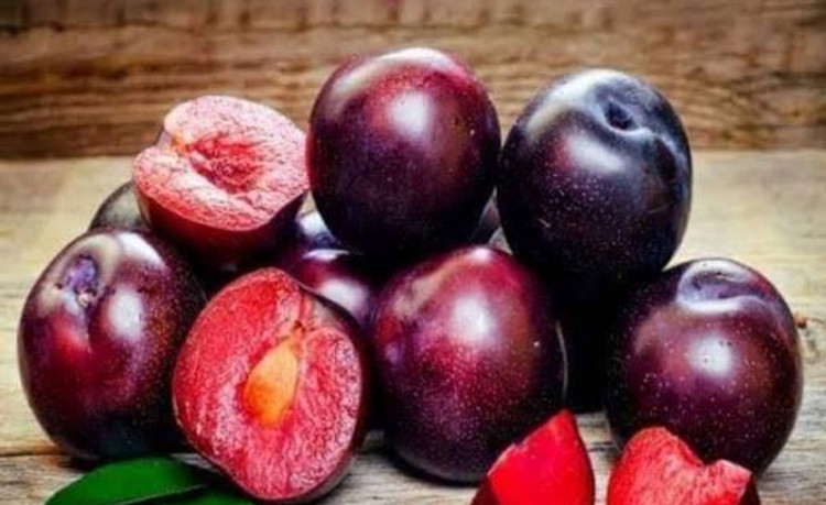نهال الو بخارا